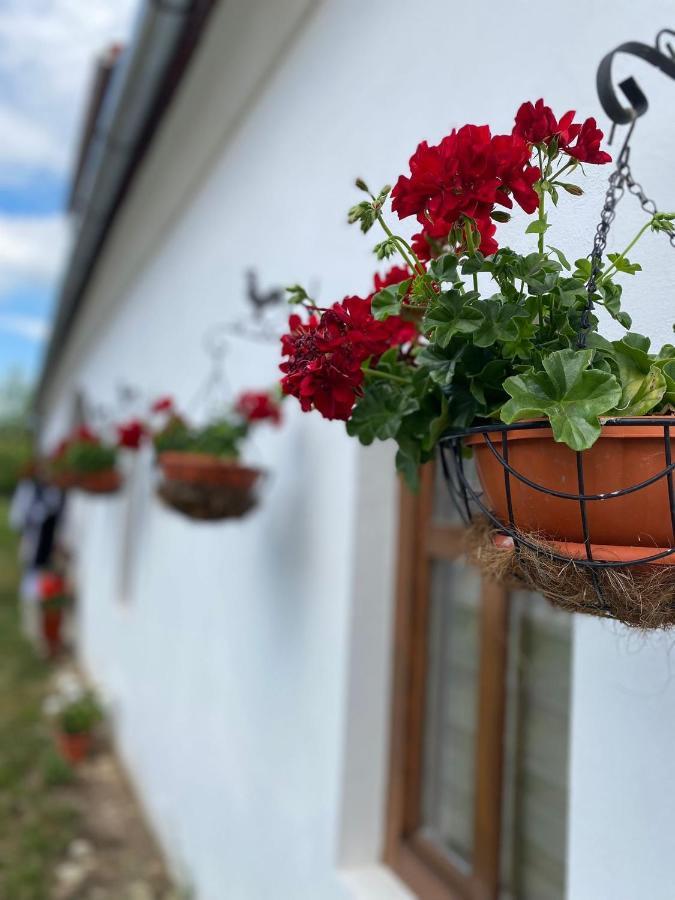 Casa Canda Salasu de Sus Eksteriør bilde